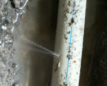 凤庆卫生间测漏水多少钱