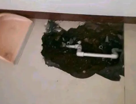 凤庆卫生间测漏水多少钱